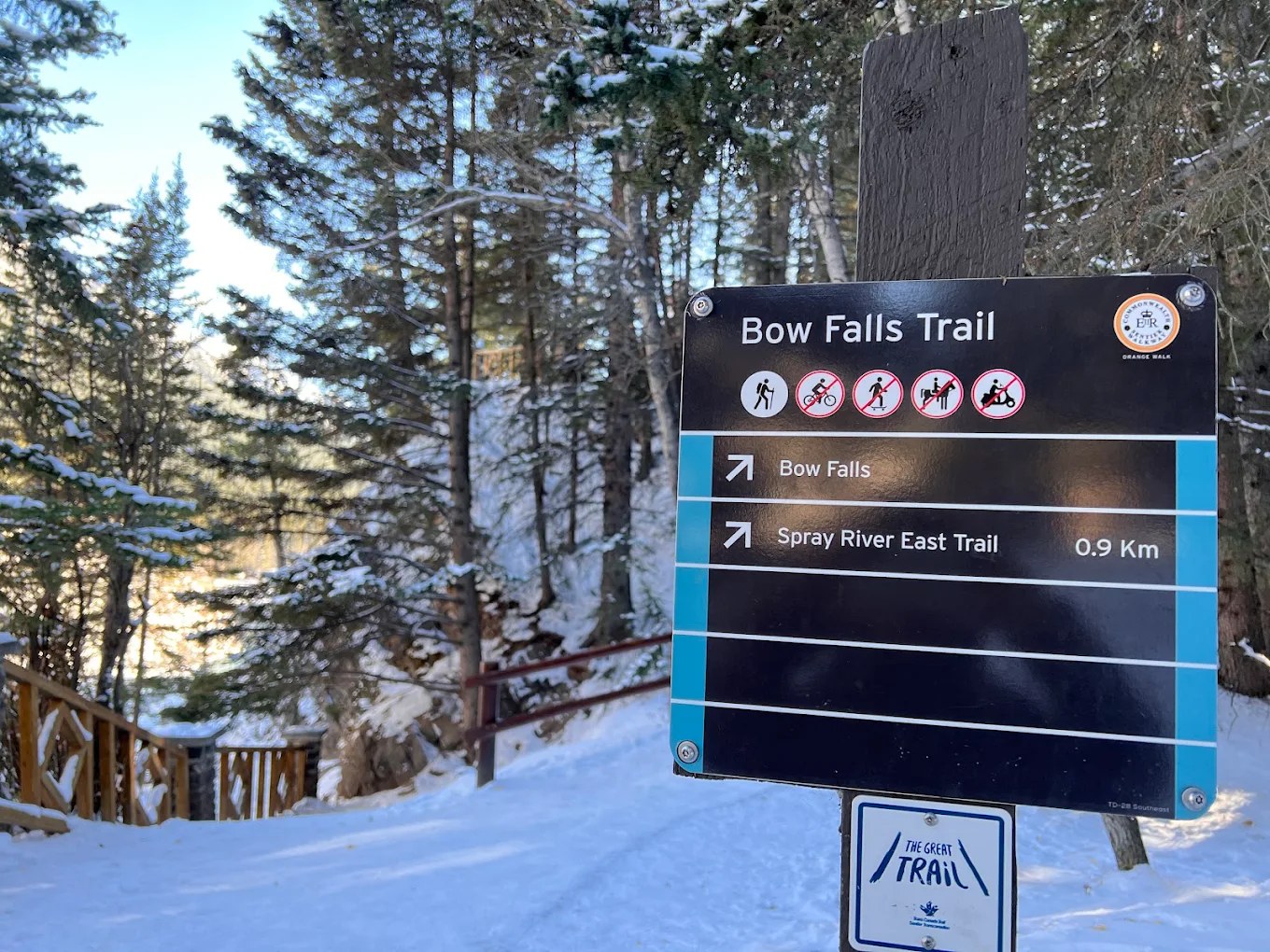 Bow Falls Trail sign in winter with snow-covered pines